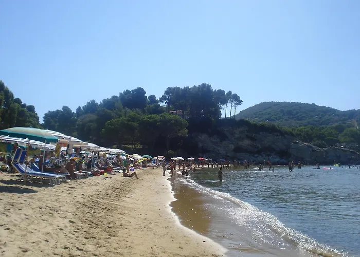 Gli Alberi * Capoliveri (Isola d'Elba)